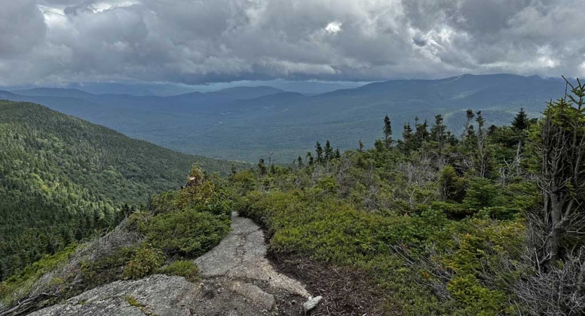 From a high elevation, a vast forested, mountainous landscape stretches out into the distance. 